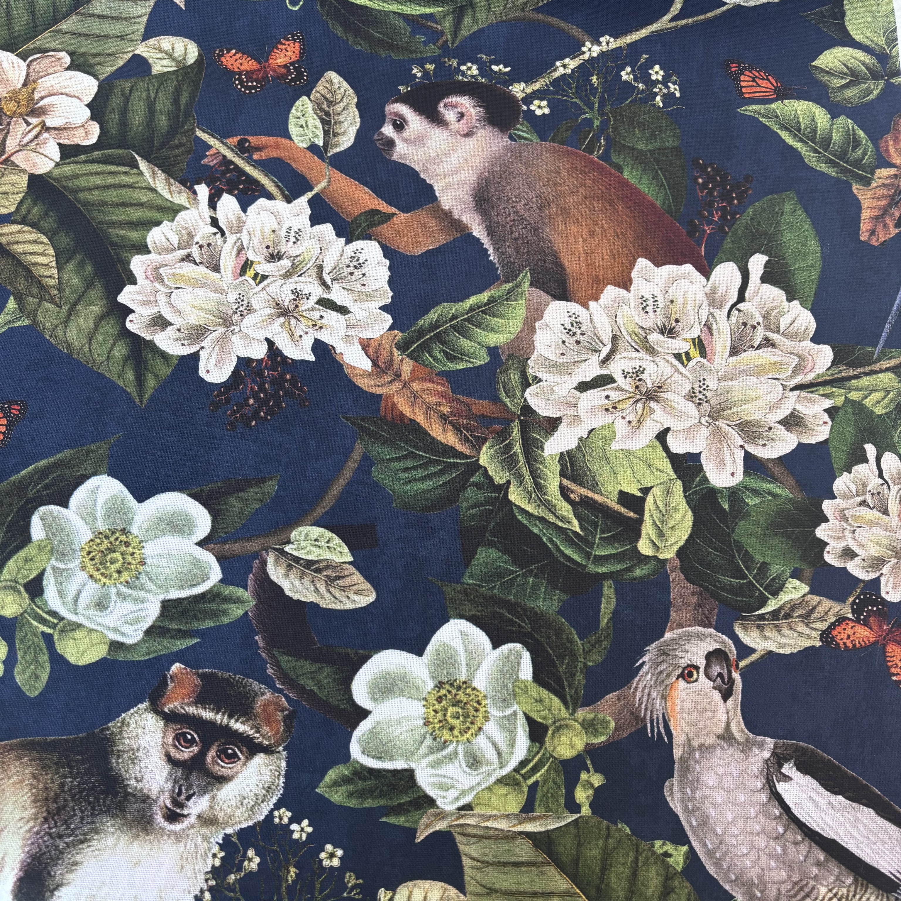 Canvas tropical mit Affen und Vögeln